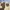 Vintage Y2K Casual pants Pria tan brown photo 7