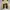 Vintage Y2K Casual pants Pria tan brown photo 3