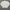 Fruit of the Loom Vintage Streetwear Sweater Pria gray photo 6