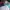 JanSport Casual Bag Pria green blue photo 4