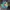 JanSport Casual Bag Pria green blue photo 1