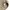 Arnold Palmer Minimalist Casual Polo shirt Pria tan photo 4