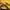 Sportswear Track jacket Wanita brown yellow photo 5