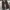 VANS Skater Indie Sneakers Pria white black photo 5