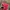Puma Vintage Y2K Sneakers Pria red photo 3