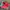 Puma Vintage Y2K Sneakers Pria red photo 1