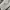 The North Face Gorpcore Sportswear Track jacket Wanita white cream photo 7