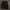 Adidas Luxury Minimalist Windbreaker Pria black photo 1