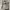 Marc Jacobs Minimalist Casual Tote bag Wanita tan gray photo 4