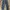 Rocawear Y2K Jeans Pria blue photo 4