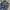 Rocawear Y2K Jeans Pria blue photo 3