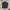 The North Face Gorpcore Pria black photo 1