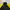 Nike Vintage Sportswear Windbreaker Pria black yellow photo 4