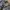 VANS Streetwear Pria gray photo 5