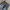 VANS Streetwear Pria gray photo 2