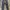 VANS Streetwear Pria gray photo 3
