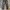 VANS Streetwear Pria gray photo 1