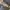 VANS Streetwear Pria gray photo 6