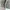 H&M Streetwear Casual Parka Pria green gray photo 4