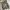 H&M Streetwear Casual Parka Pria green gray photo 3