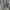 H&M Streetwear Casual Parka Pria green gray photo 6