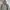 H&M Streetwear Casual Parka Pria green gray photo 2