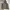 H&M Streetwear Casual Parka Pria green gray photo 1