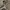 Vintage Pria gray photo 6
