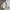 Vintage Y2K Puffer jacket Pria white cream photo 4