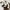 Vintage Streetwear Pria brown photo 8