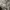 Levi's Streetwear Casual T-shirt Pria gray photo 4