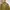 Y2K Sportswear Puffer jacket Pria yellow photo 2