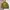 Y2K Sportswear Puffer jacket Pria yellow photo 1