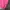 Levi's Streetwear Casual T-shirt Pria pink photo 4
