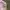 Lacoste Streetwear Casual T-shirt Pria pink photo 4