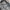 Vintage Denim jacket Pria gray photo 4