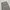 Dickies Casual Casual pants Pria gray photo 6