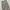 Dickies Casual Casual pants Pria gray photo 4