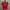Umbro Vintage Streetwear Jersey Pria Red