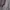 Luxury Sportswear Sweater Pria gray photo 8