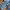 Levi's Casual Jeans Pria blue photo 8