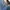Levi's Casual Jeans Pria blue photo 6