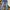 Levi's Casual Jeans Pria blue photo 3