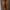 Casual Culotte Wanita Brown