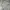 Adidas Streetwear Sportswear Sweatshirt Pria gray photo 5