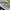 Adidas Streetwear Sportswear Sweatshirt Pria gray photo 2