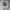 Adidas Streetwear Sportswear Sweatshirt Pria gray photo 1