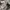 Adidas Streetwear Sportswear Sweatshirt Pria gray photo 4