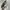 Nike Streetwear Casual Sneakers Wanita multicolor photo 4