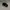 Harley Davidson Y2K Sportswear Hat Pria black photo 5